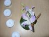boutonniere dendrobium boutonniere dendrobium