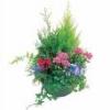 coupe plantes