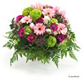 A fleur de coeur