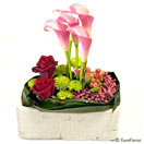 A fleur de coeur